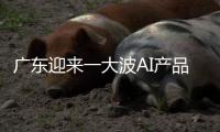 广东迎来一大波AI产品扎堆上新
：8个大模型
，30个应用场景……