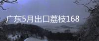 广东5月出口荔枝1685吨