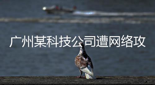 网络全面固定相关涉案证据