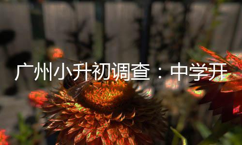 收简科创体验等活动