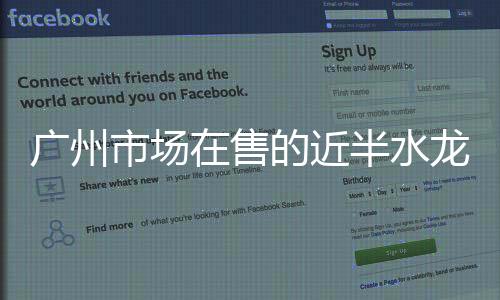 广州在不合格产品中