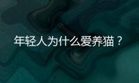 年轻人为什么爱养猫	？