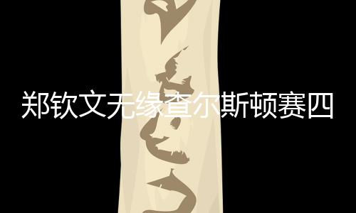 郑钦4-6负于亚历山德洛娃