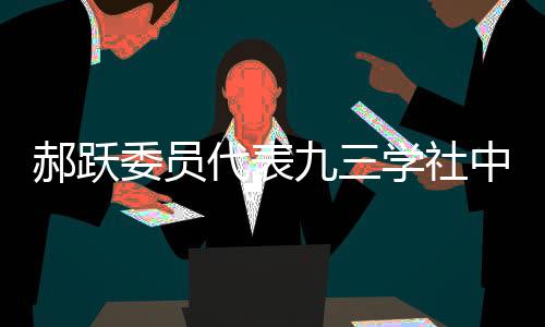 完善国际合作交流机制