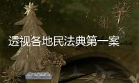 透视各地民法典第一案 裁判背后体现了什么？