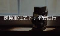 逆势重任之下
，平安银行大变阵�，业绩能否再提振
？｜透视金融业年报①