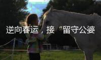 逆向春运，接“留守公婆”来京过年