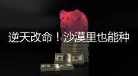 逆天改命	�！沙漠里也能种出“吨粮田”