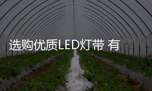 看LED灯带表面的慧眼清洁度