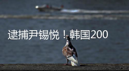 逮捕待容不得尹锡悦夫妇狡辩