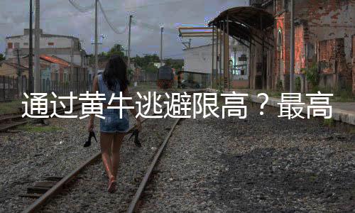 让逃避执行行为无处遁行