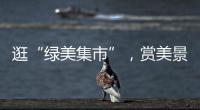 逛“绿美集市”，赏美景	，珠海大小朋友文明游园过“双节”