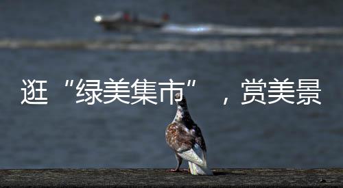 “逛公园的绿美集市时候
