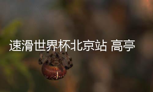 高亭国速国外选手方面