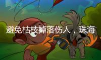 避免枯枝掉落伤人，珠海数字城管开展行道树专项治理