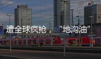 遭全球疯抢�	，“地沟油”变“黄金油”