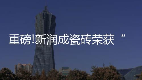 新润2022年即将过去
