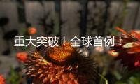 重大突破！全球首例
	！