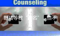 野猪等被“除名”�	，但不意味着可随意捕杀