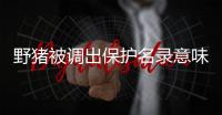 野猪被调出保护名录意味着什么？