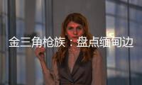 金三角枪族�：盘点缅甸边境的自制武器