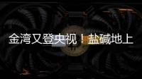 金湾又登央视！盐碱地上“变”出1.8万亩良田