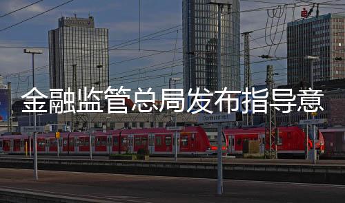 总局指导意见要求