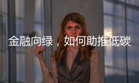 金融向绿，如何助推低碳经济破浪前行｜2024企业双碳行动力调研