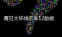 青甘大环线三车12胎被扎
，官方通报：两人被抓