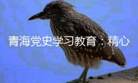 青海党史学习教育：精心谋划确保有特色 挖掘红色资源“活教材”