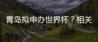 青岛拟申办世界杯？相关部门回应：不一定是主赛事