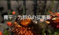 青平：为群众办实事要“踩准步点”