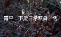 青平：下足日常监督“绣花”功夫
