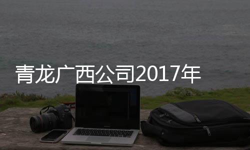 蓬勃向上的广西公司发展气息