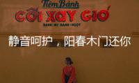 静音呵护，阳春木门还你一个安静温馨的家