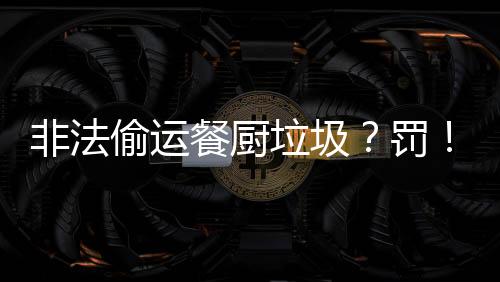 联合执法中队快速展开行动
