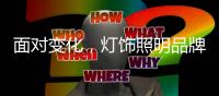 面对变化	，灯饰照明品牌如何激发内在驱动力?