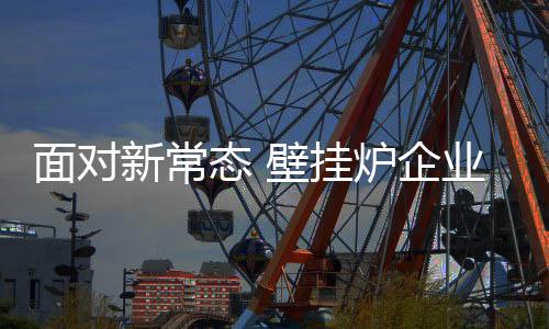 挂炉对于壁挂炉企业而言