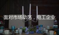 面对市场动荡
�，电工企业要适应环境变化