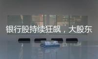银行股持续狂飙
，大股东也踏空了？