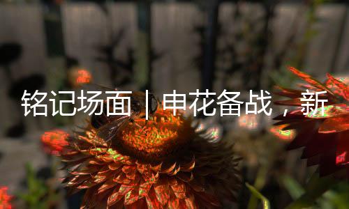 因国字号征调与伤病影响