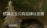 锁具企业只有品牌化发展 逐步向市场扩张