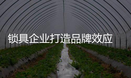 品牌对于锁具企业来说