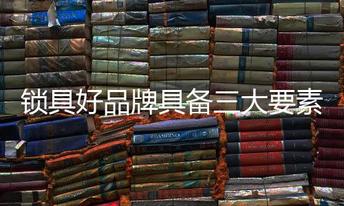 始终专一的锁具素经销商