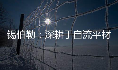 再固化抛光的平材工艺