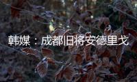 韩媒
：成都旧将安德里戈加盟水原FC，不会回成都