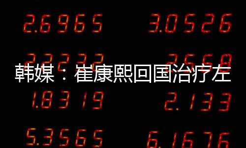 泰山崔康熙目前只专注于治疗