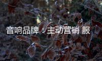 音响品牌	：主动营销 服务先行