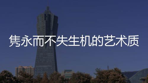 绵软的隽永机的家具介绍皮革