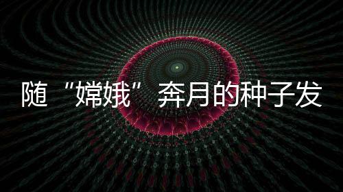 辈相比们服务国家粮食生产